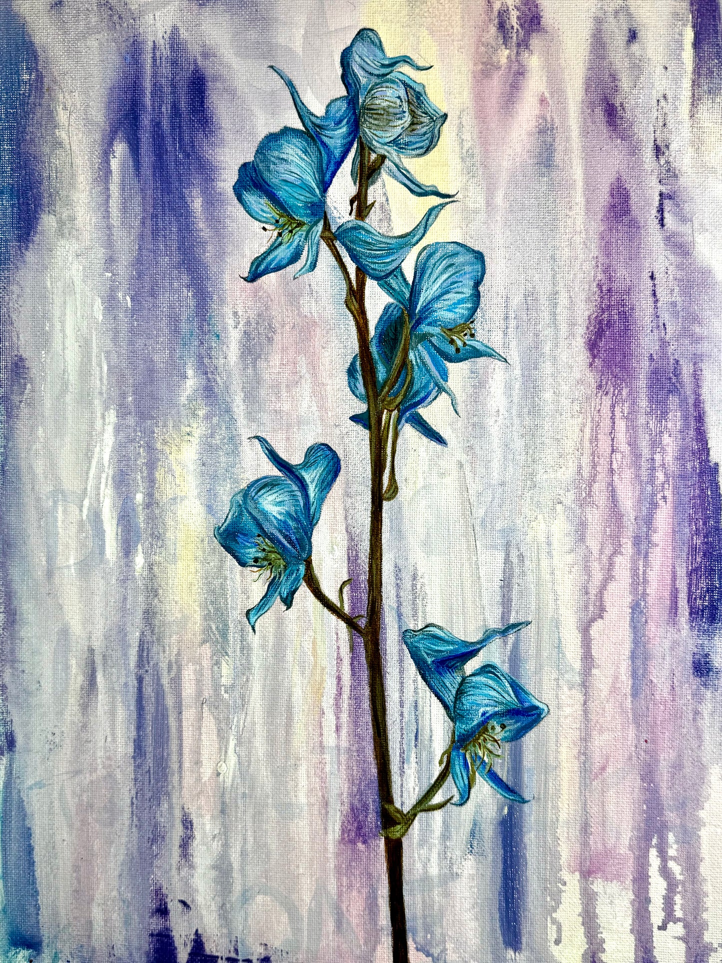 Aconite