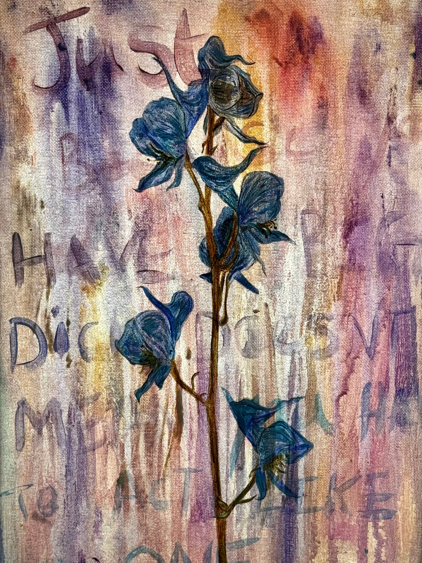 Aconite
