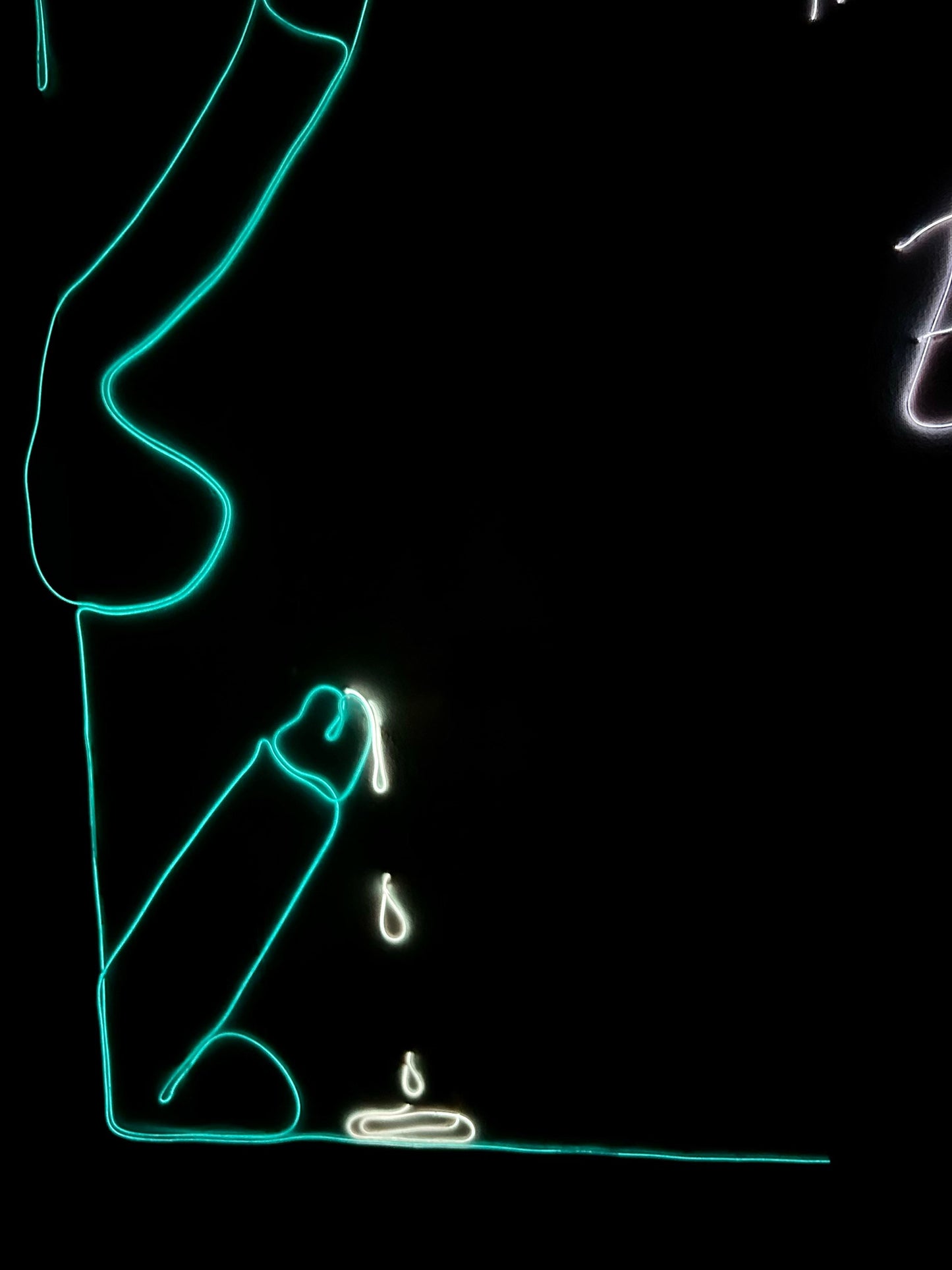 Max Hammond “It’s not a fucking TRACEY EMIN X” 2022 Neon on canvas, custom neon
