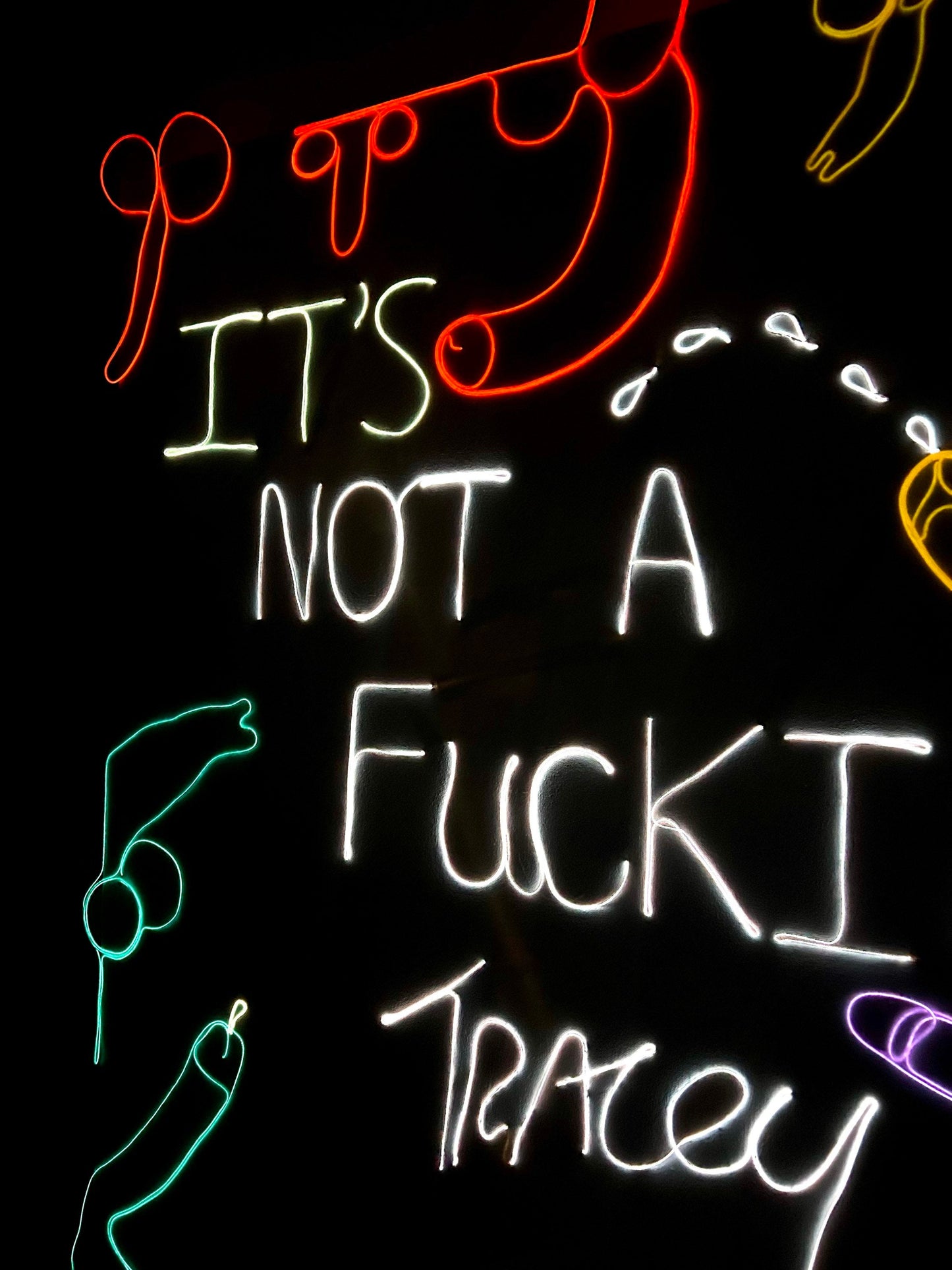 Max Hammond “It’s not a fucking TRACEY EMIN X” 2022 Neon on canvas, custom neon
