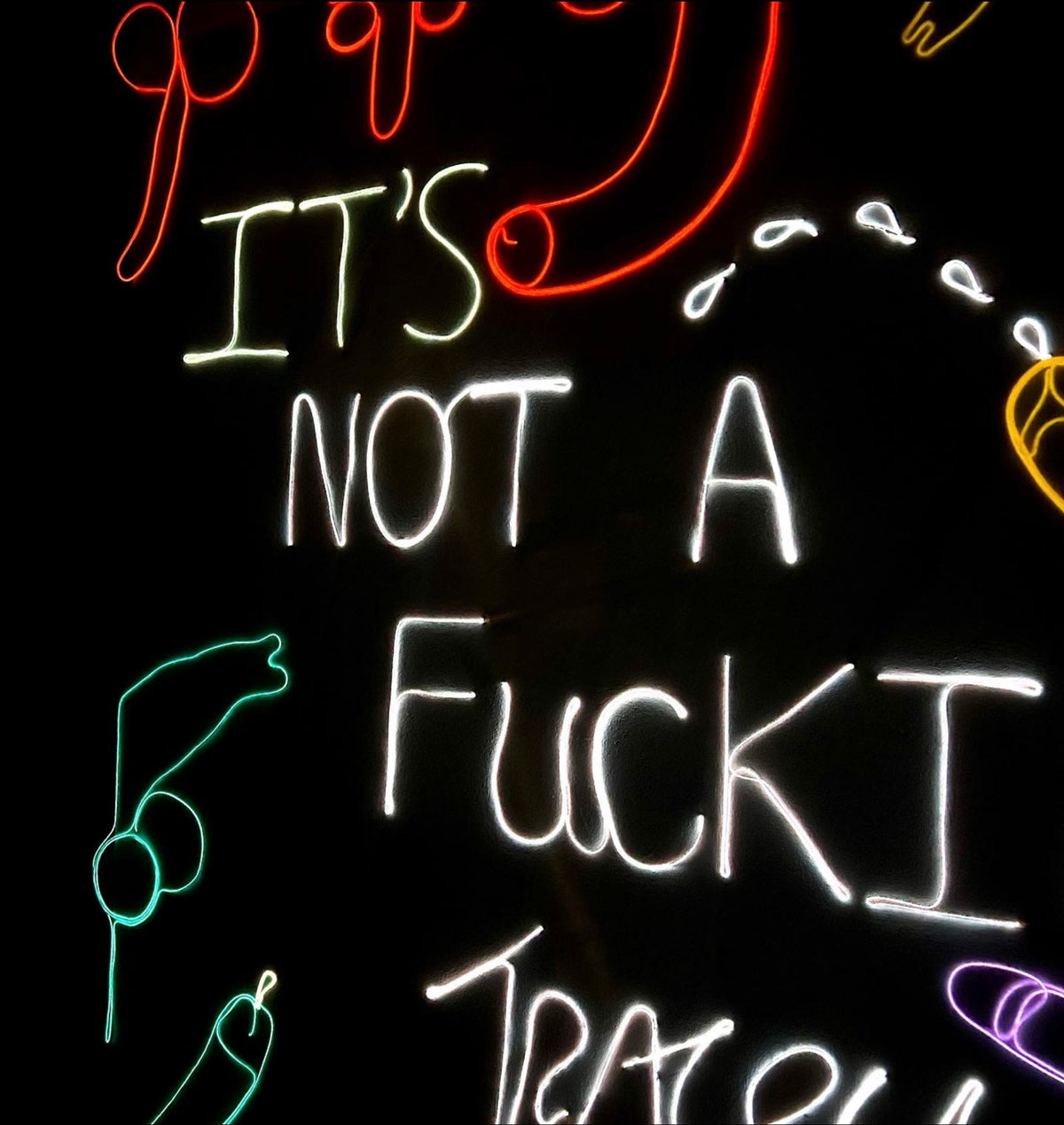 “It’s Not a Fucking TRACEY EMIN X” 2022 Neon Canvas, Painting, Art, Gay Artist, Phallic, Form, Phallus,