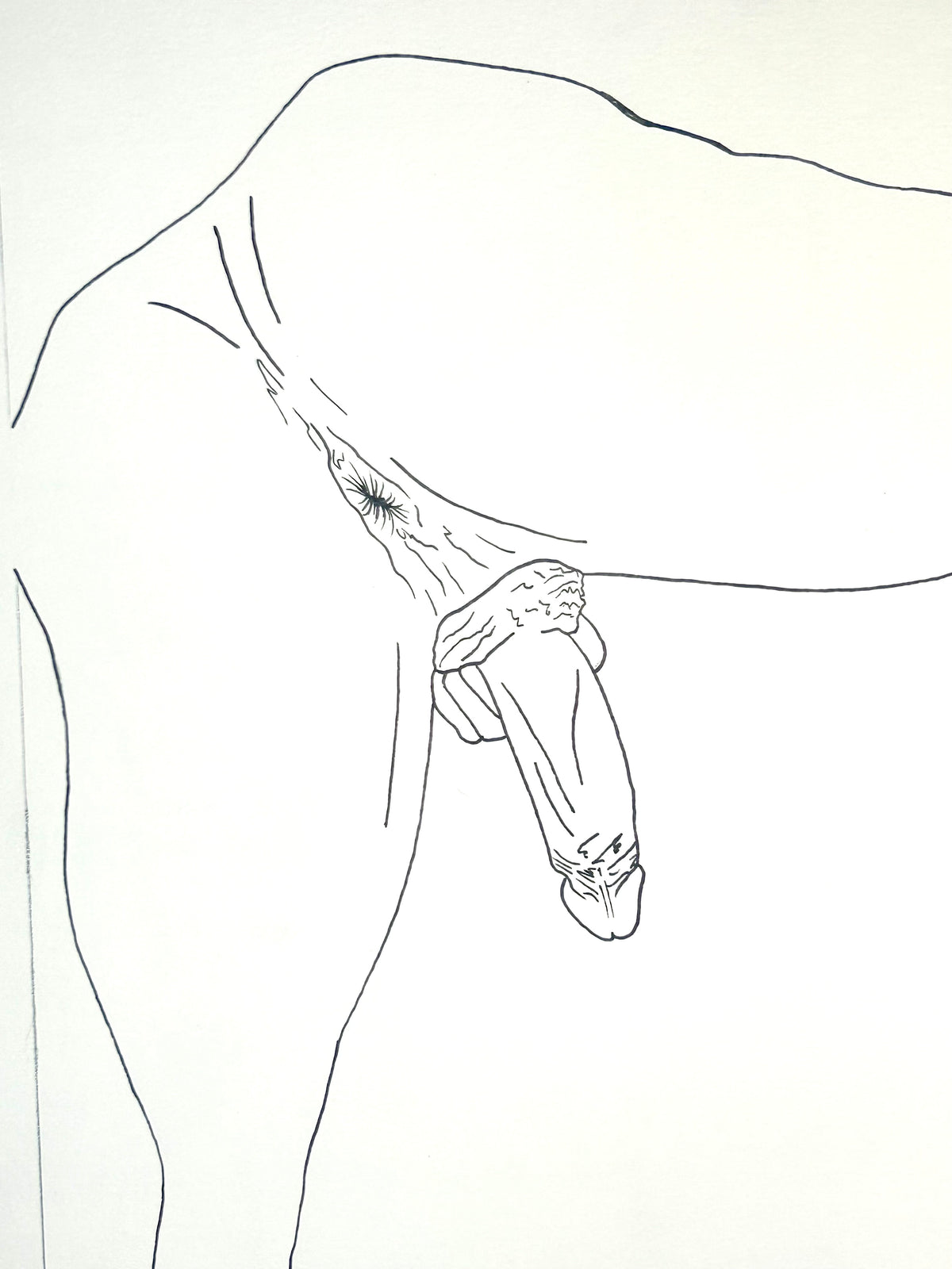 Big Harry (2026) | Unique Original Gay Art | Fine Liner Queer Erotic Drawing | Male Nude Fine Liner Artwork One of a kind 1/1 By Max Hammond Studio