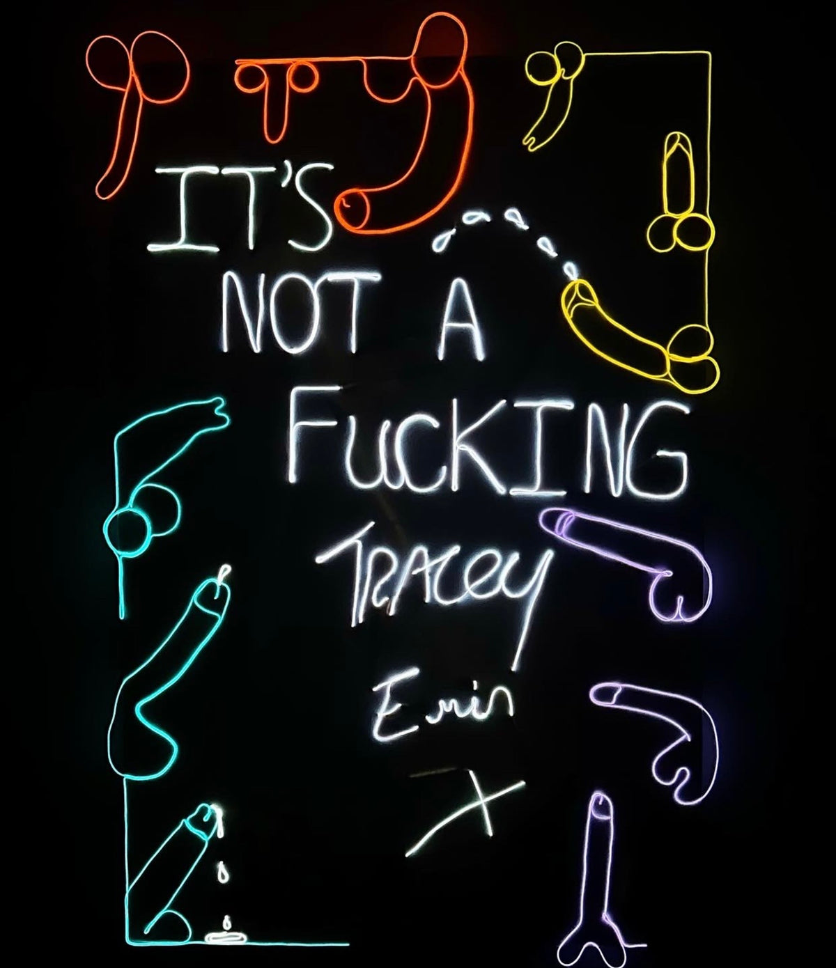 “It’s Not a Fucking TRACEY EMIN X” 2022 Neon Canvas, Painting, Art, Gay Artist, Phallic, Form, Phallus,