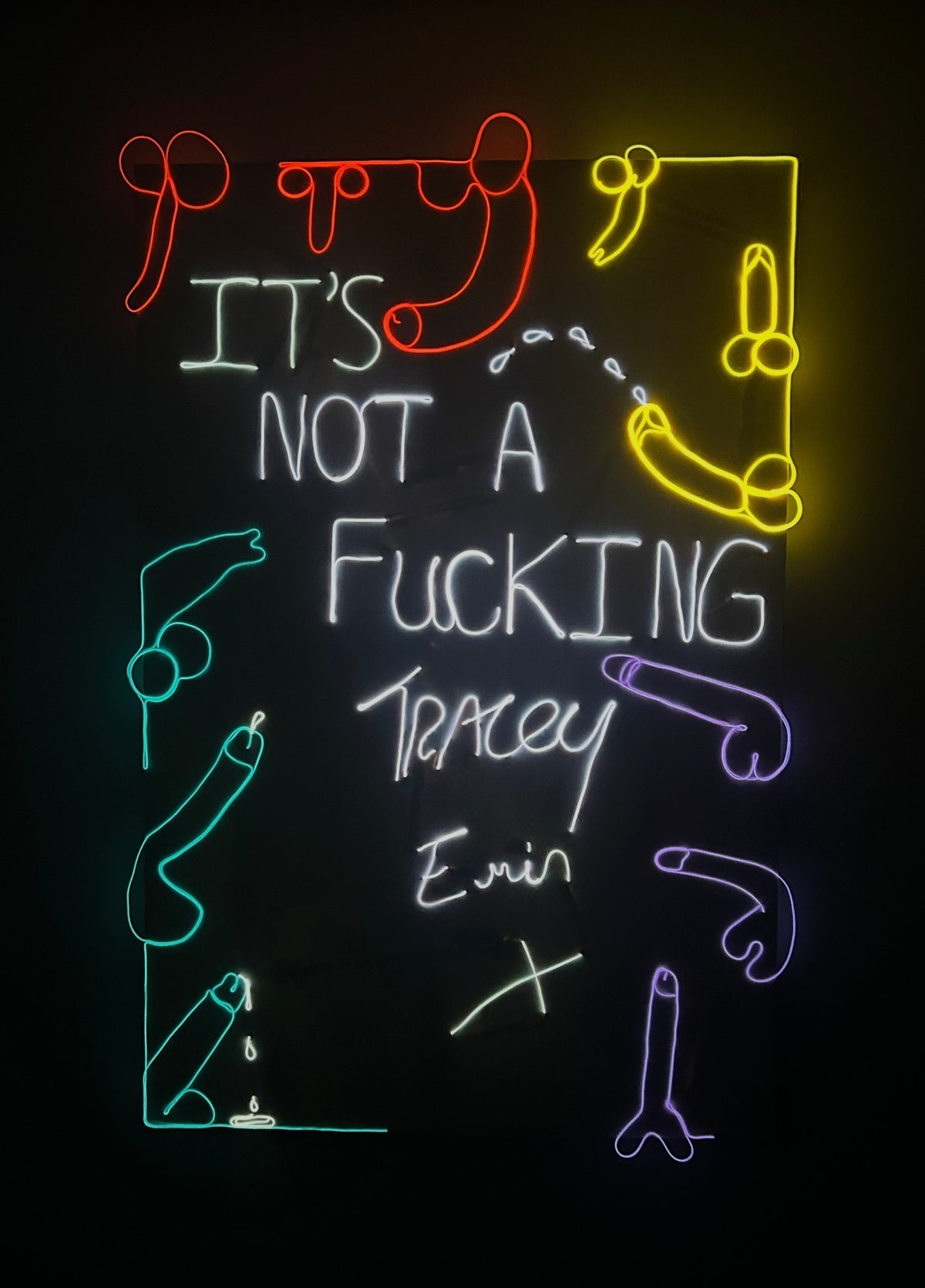 “It’s Not a Fucking TRACEY EMIN X” 2022 Neon Canvas, Painting, Art, Gay Artist, Phallic, Form, Phallus,