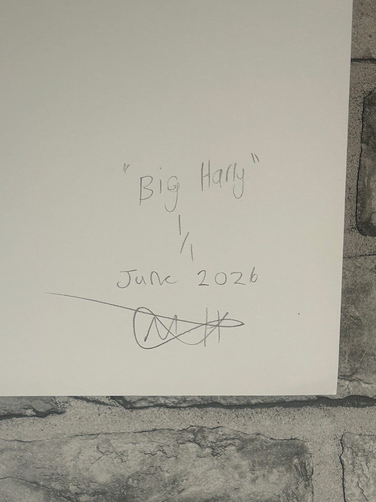 Big Harry (2026) | Unique Original Gay Art | Fine Liner Queer Erotic Drawing | Male Nude Fine Liner Artwork One of a kind 1/1 By Max Hammond Studio