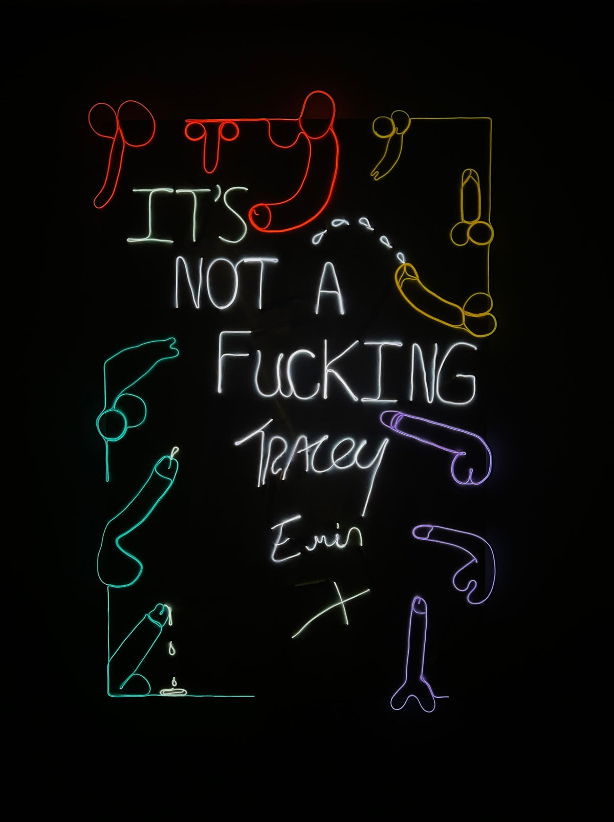 “It’s Not a Fucking TRACEY EMIN X” 2022 Neon Canvas, Painting, Art, Gay Artist, Phallic, Form, Phallus,