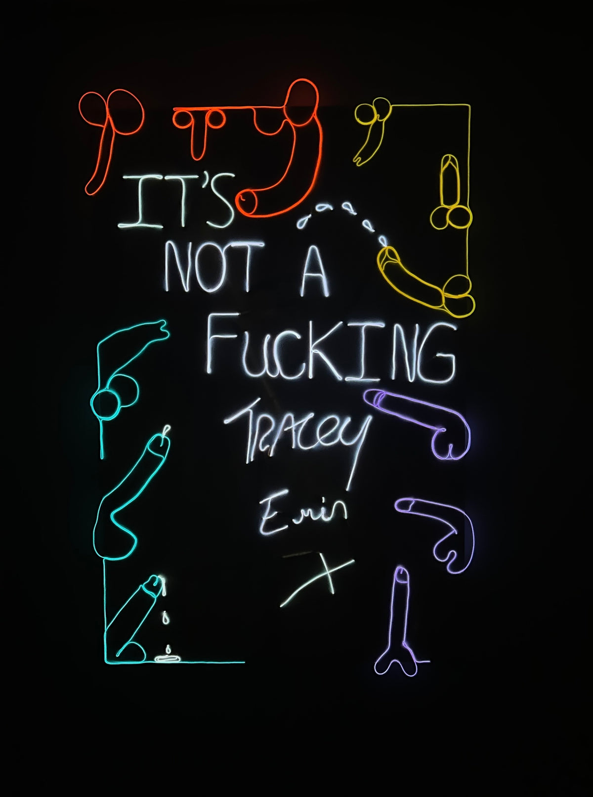 “It’s Not a Fucking TRACEY EMIN X” 2022 Neon Canvas, Painting, Art, Gay Artist, Phallic, Form, Phallus,