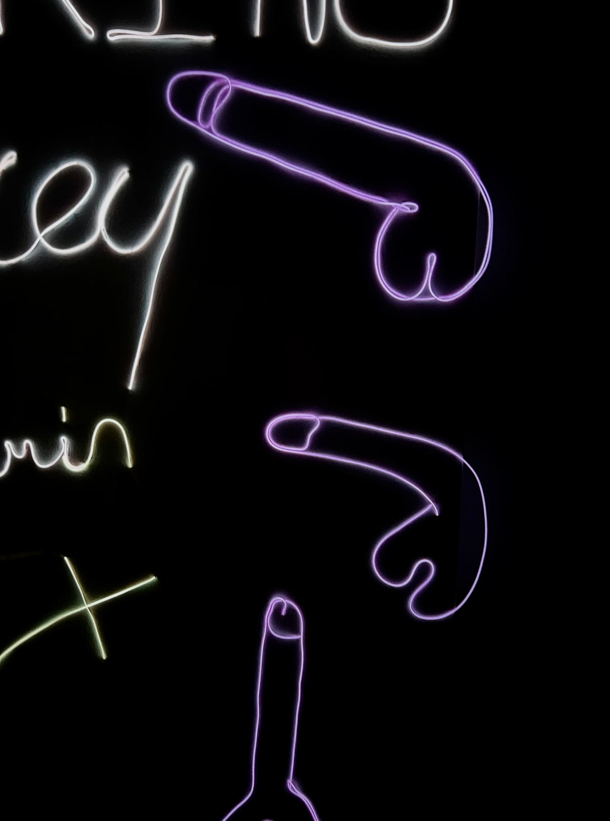 “It’s Not a Fucking TRACEY EMIN X” 2022 Neon Canvas, Painting, Art, Gay Artist, Phallic, Form, Phallus,