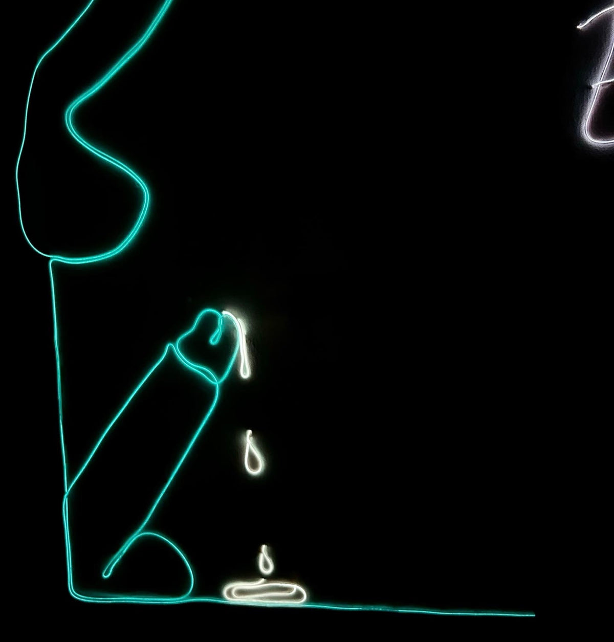 “It’s Not a Fucking TRACEY EMIN X” 2022 Neon Canvas, Painting, Art, Gay Artist, Phallic, Form, Phallus,