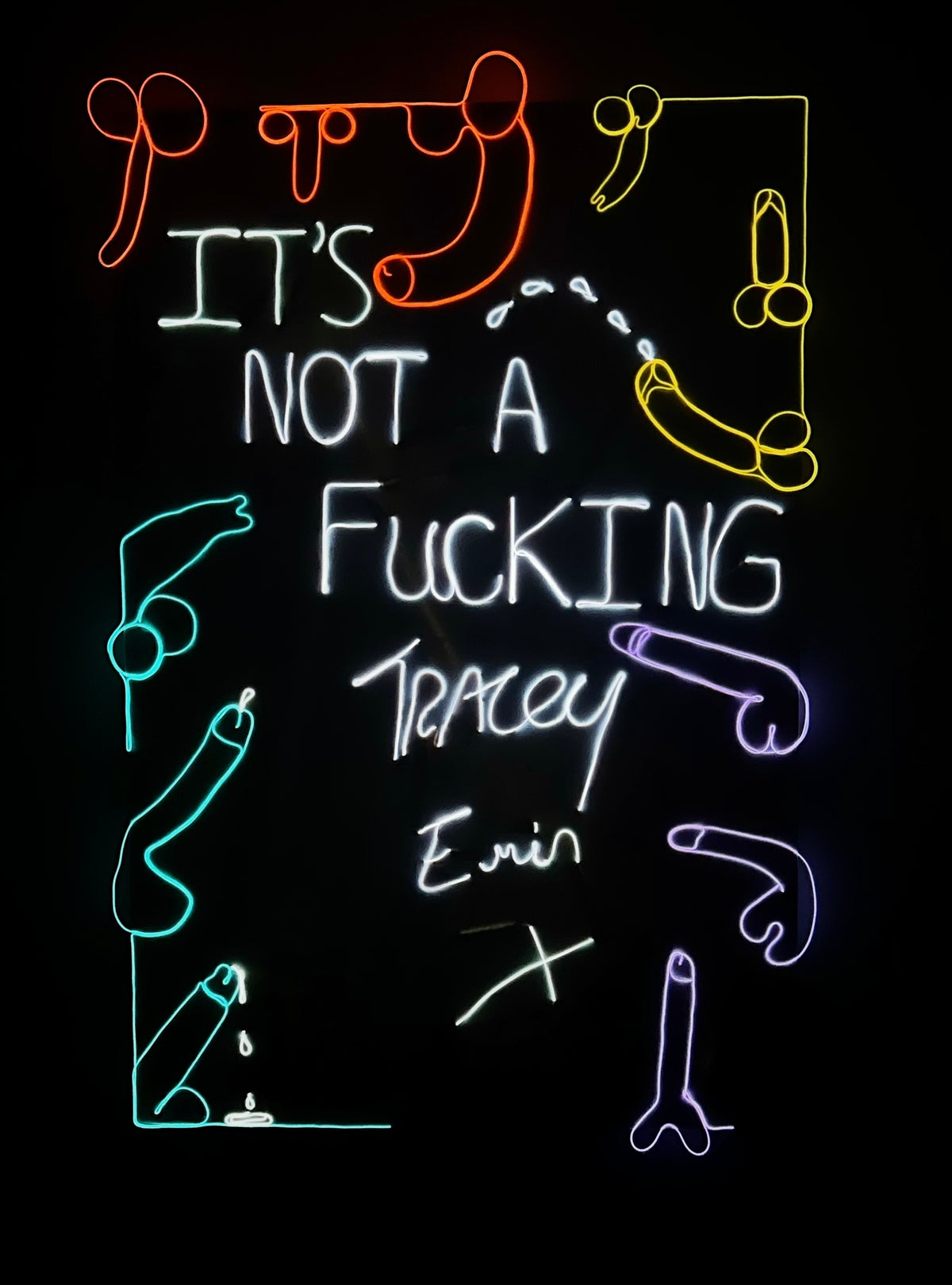 “It’s Not a Fucking TRACEY EMIN X” 2022 Neon Canvas, Painting, Art, Gay Artist, Phallic, Form, Phallus,
