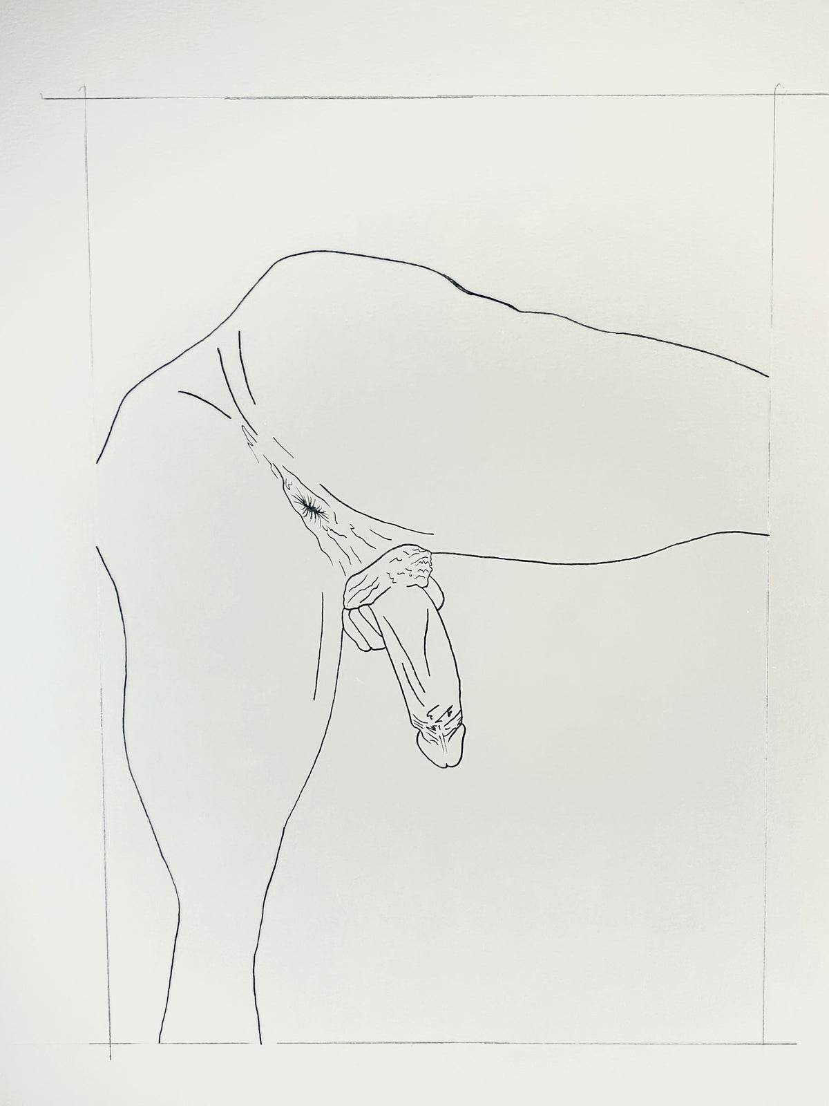 Big Harry (2026) | Unique Original Gay Art | Fine Liner Queer Erotic Drawing | Male Nude Fine Liner Artwork One of a kind 1/1 By Max Hammond Studio
