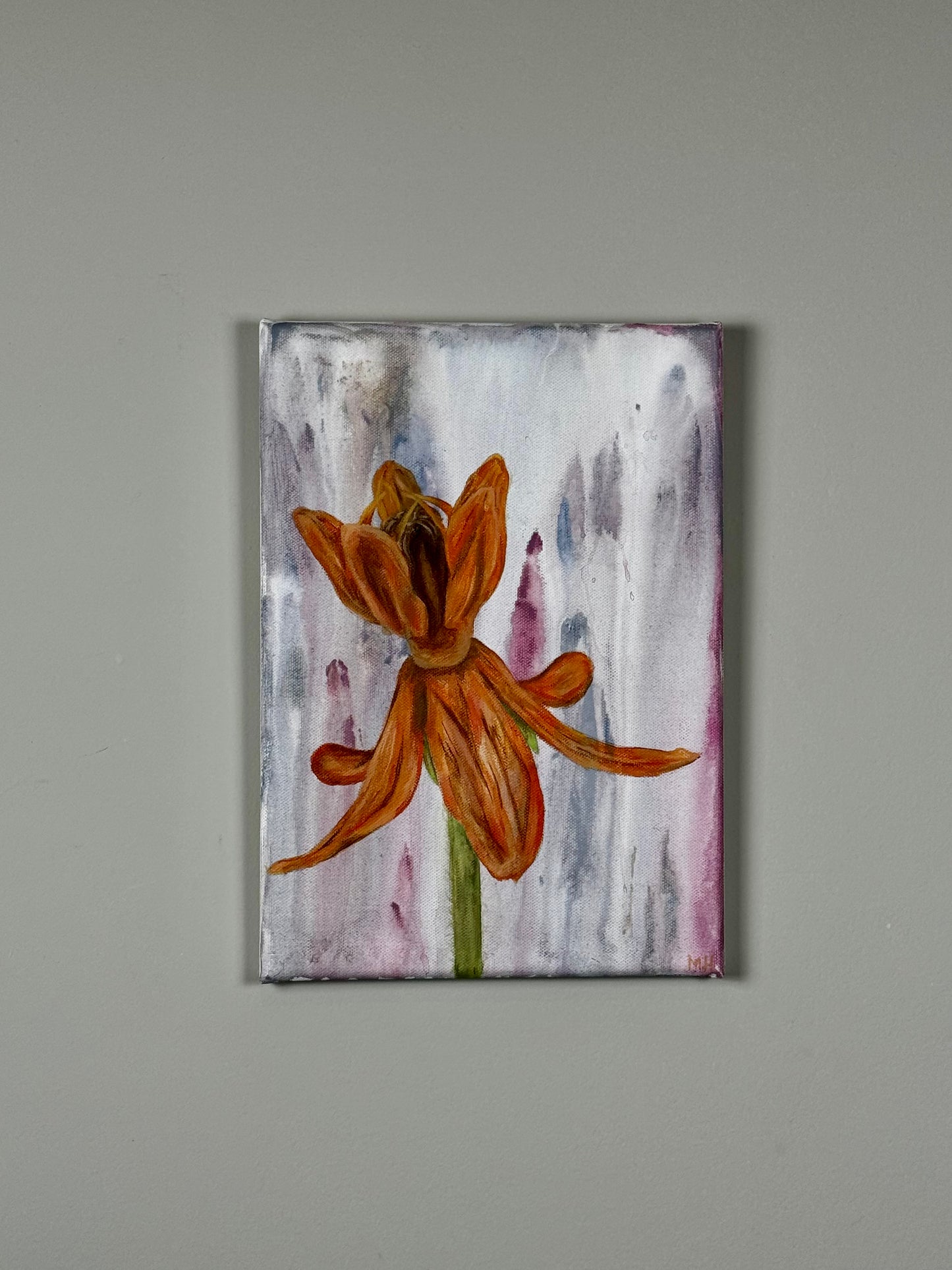 Butterfly Weed