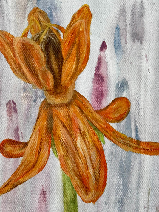 Butterfly Weed