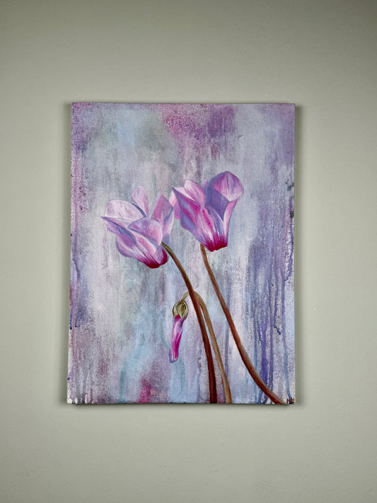 Cyclamen